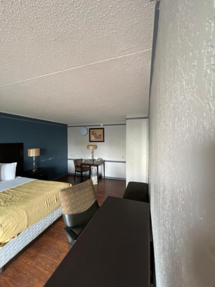 Budget Single Room interior